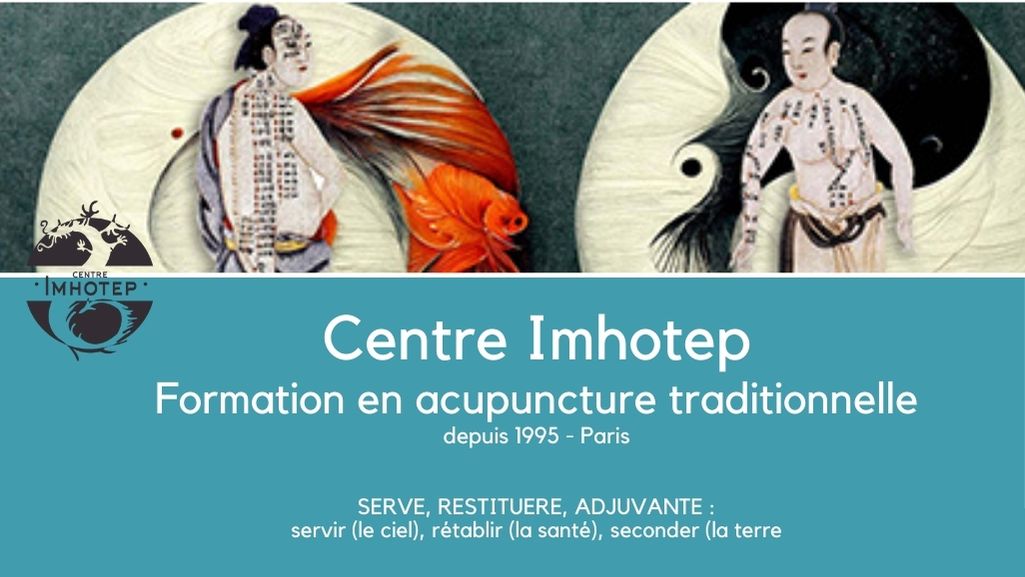 Lire la suite à propos de l’article Voici une thérapie qui va vous aider à remonter le temps