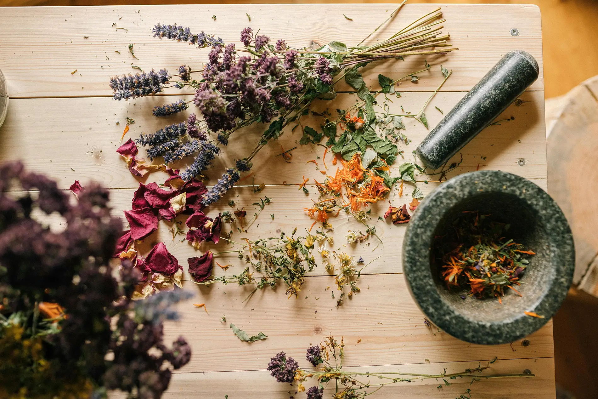 Lire la suite à propos de l’article Thérapeutes Zen donne la parole aux thérapeutes