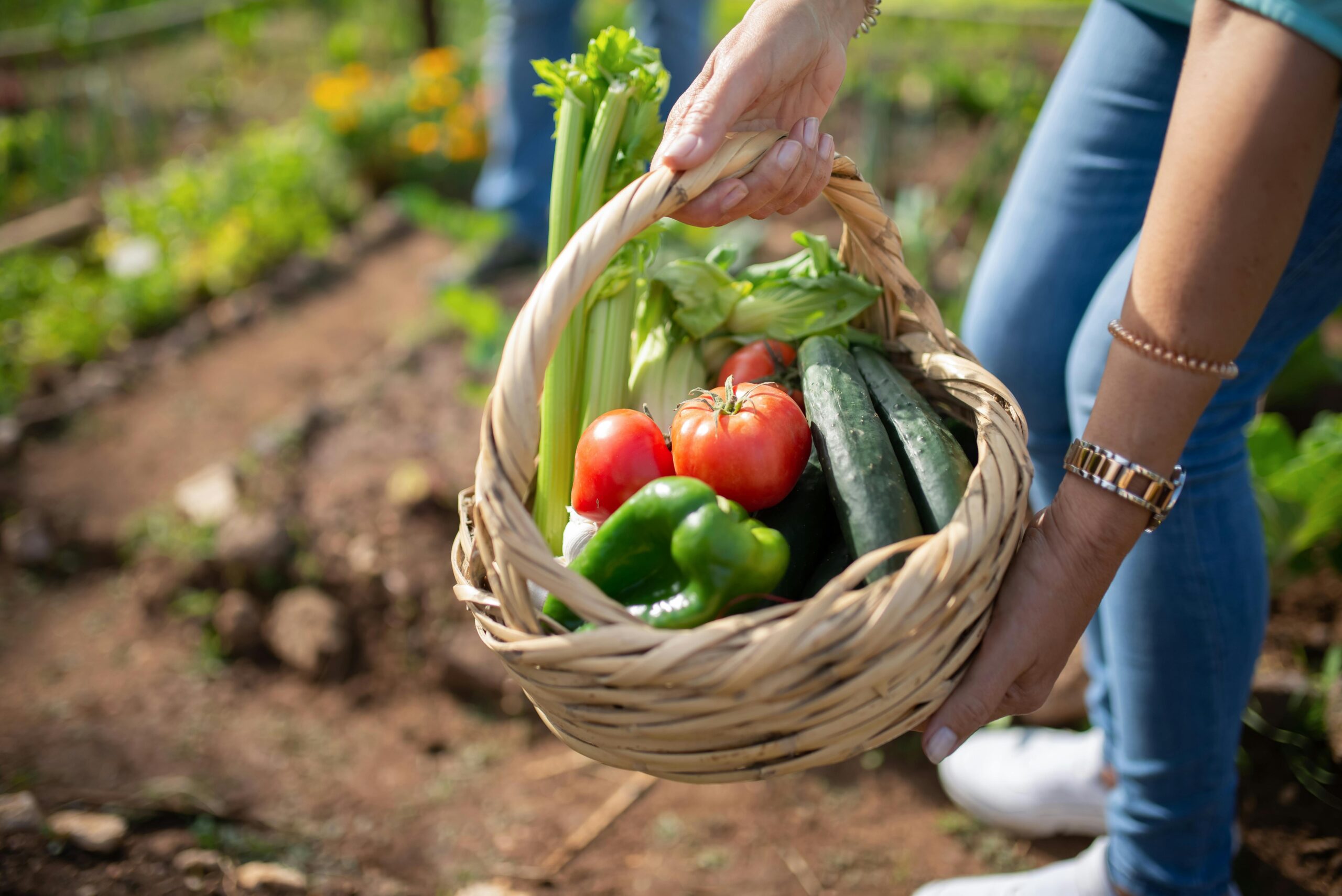 Lire la suite à propos de l’article La permaculture